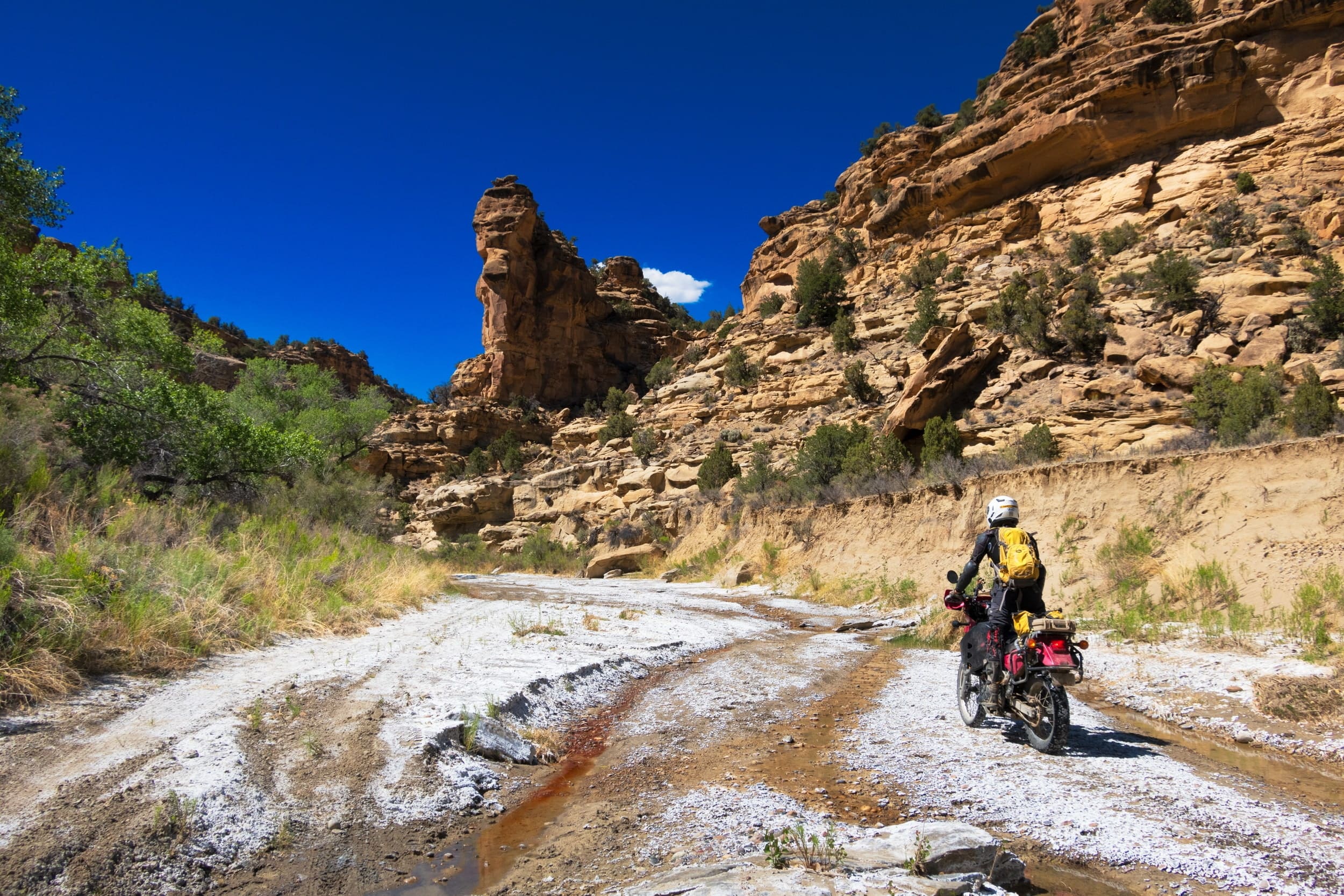 rider on a motorcycle in a desert wash
